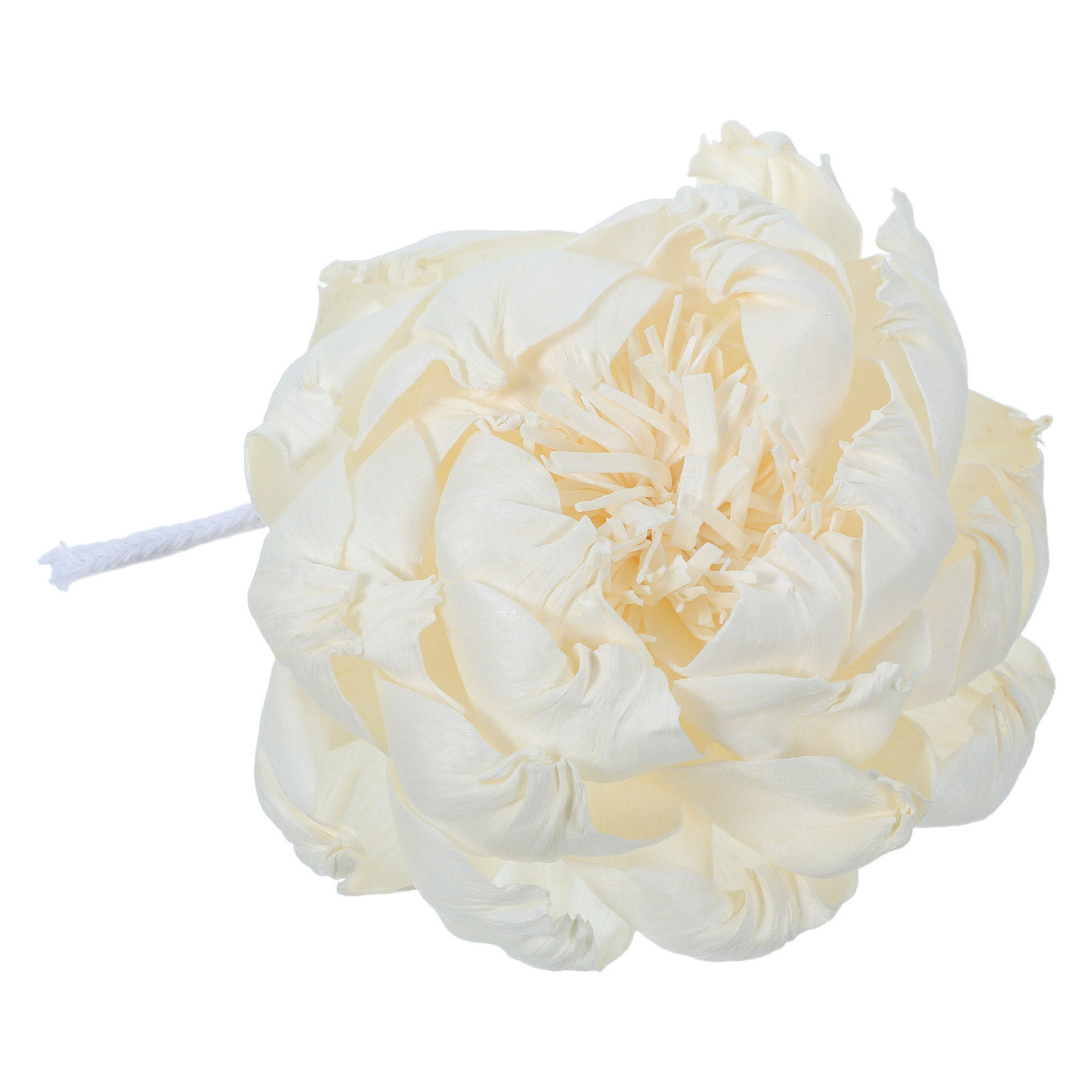 Pioenroos Geurverspreider 12Cm - Home Fragrance recensie en prijs