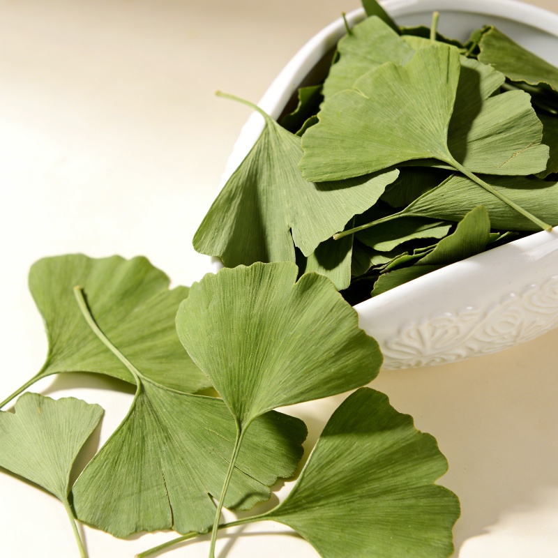 Gedroogde Ginkgo Biloba blader - Home Fragrance Candles recensie en prijs