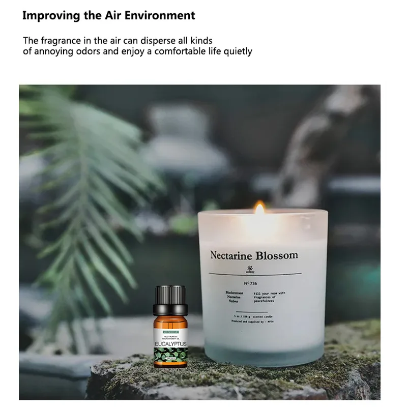 Wateroplosbare Kaarsgeuroliën  - Fragrance Oil Set recensie en prijs