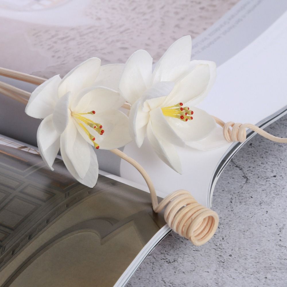 Multifunctionele 5cm natuurlij - Home Fragrance Natural recensie en prijs
